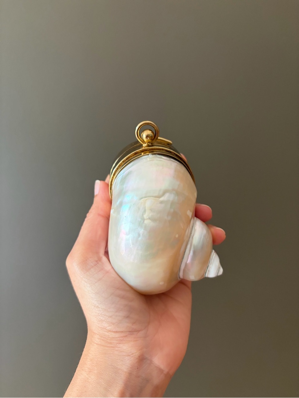 Gold and Cream Shell Clutch - Picture 13 of 16